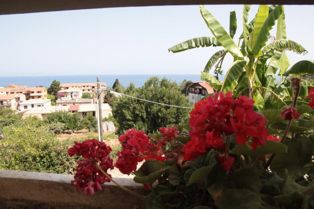 Bed And Breakfast Casagalez Santa Domenica  Δωμάτιο φωτογραφία