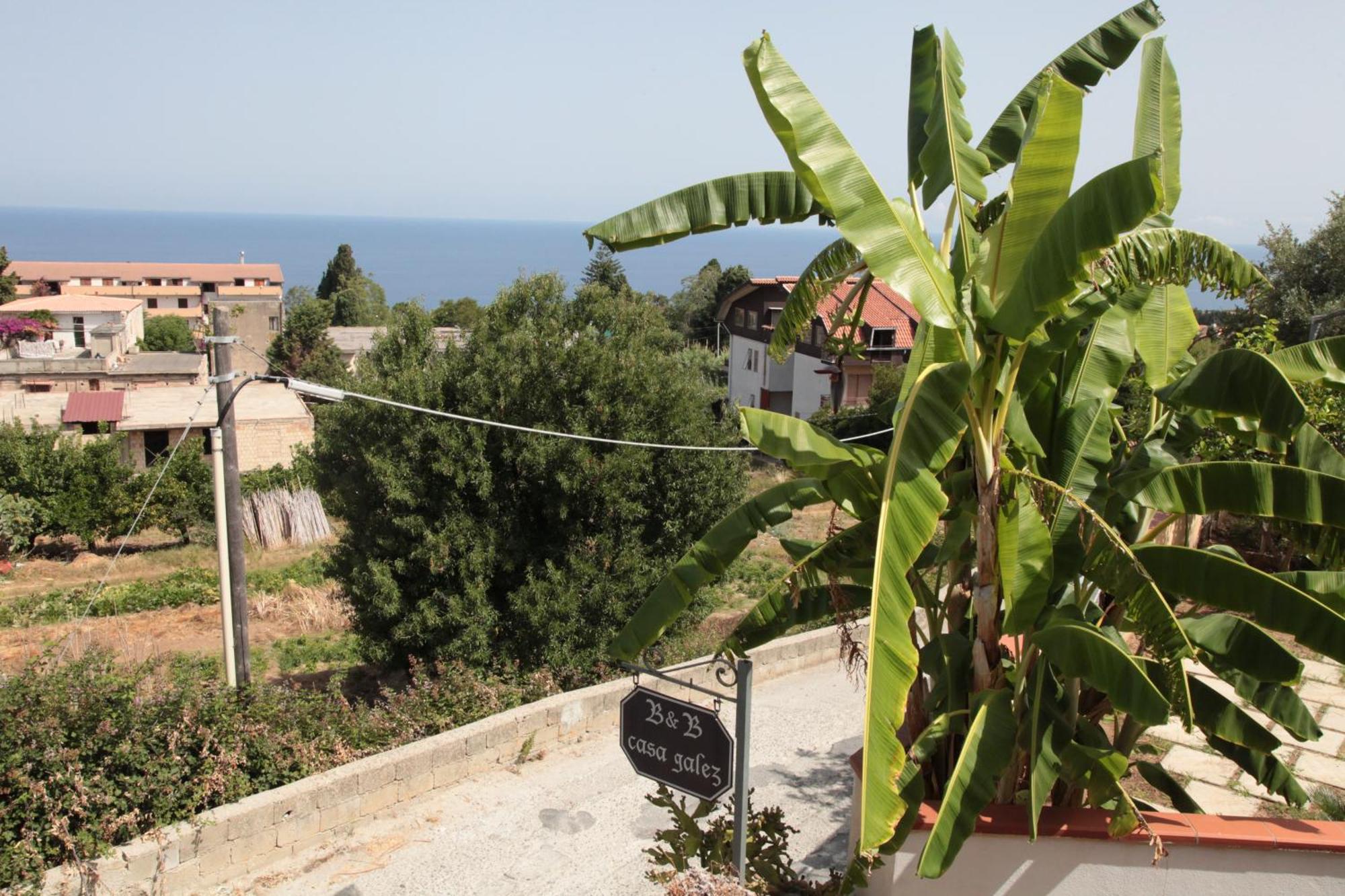 Bed And Breakfast Casagalez Santa Domenica  Εξωτερικό φωτογραφία