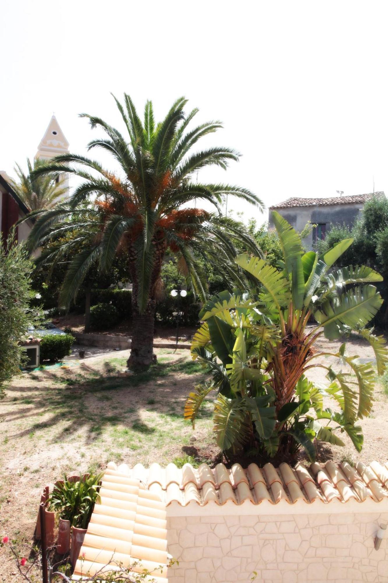Bed And Breakfast Casagalez Santa Domenica  Εξωτερικό φωτογραφία